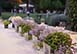 Villa Nocetta Italy Vacation Villa - Rome