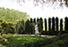 Villa Orizzonte Tuscany, Italy Vacation Villa - Rovinato