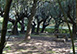 Villa Padronale Cortona Italy Rental