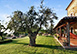 Villa Paestum Italy Vacation Villa - Paestum,  Amalfi Coast