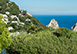 Villa Piazzetta Italy Vacation Villa - Capri