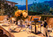 Villa Roncovisi Italy Vacation Villa - Tuscany