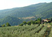  Villa Saeculum Italy Vacation Villa - Greve in Chianti, Tuscany