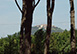 Villa dei Ricordi Italy Vacation Villa - Grosseto, Tuscany  
