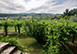 Villa le Rose Italy Vacation Villa - Florence