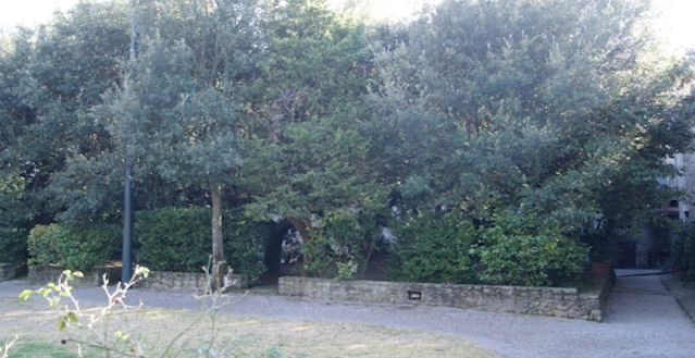 Villa Padronale Cortona Italy Rental