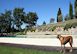 Villa Rignana, Chianti Holiday Rental, Florence and Siena