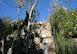 Villa Rignana, Chianti Holiday Rental, Florence and Siena