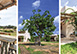 Arabesque Spain Vacation Villa - Formentera