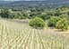Can Gelat Dalt Spain Vacation Villa - Selva, Mallorca