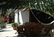 Casa Jiminez Spain Vacation Villa - Ibiza