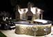 Finca Rosset Spain Vacation Villa - Cornella del Terri, Girona