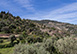 Villa Monticello Spain Vacation Villa - Deia
