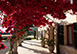 Villa Tomir Spain Vacation Villa - Balearen, Mallorca