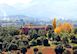 Finca Parchite Malaga Spain, Holiday Rental