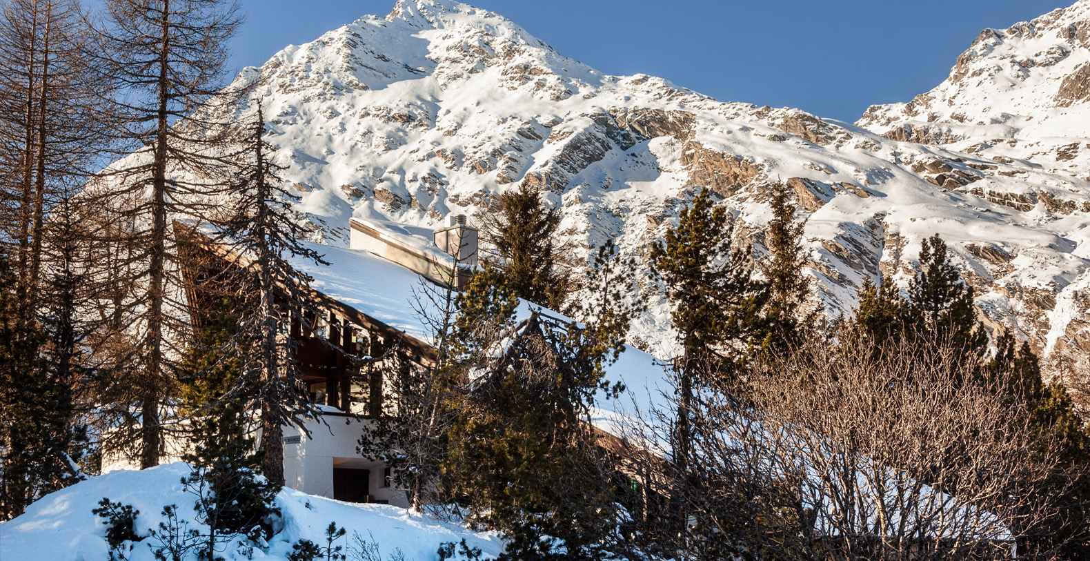 Casa Leopardo Rentals