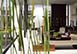 Indonesia Vacation Rental