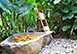 Kayu Bali, Indonesia Vacation Villa - Bali Ethnic Villa, Umalas, Kerobokan