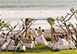 The Estate Bali Bali Vacation Villa - Kerambitan