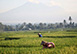 The Estate Bali Bali Vacation Villa - Kerambitan