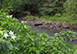Indonesia Vacation Villa - Bali