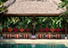 Villa Kalimaya I Indonesia Vacation Villa - Seminyak, Bali