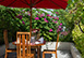 Villa Kalimaya I Indonesia Vacation Villa - Seminyak, Bali