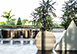 Villa Mana Bali Vacation Villa - Canggu