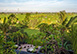 Villa Mana Bali Vacation Villa - Canggu