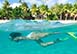 Astrolabe Residence Fiji Vacation Villa - Kokomo Private Island