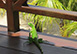 Casa Monte Belo Brazil Vacation Villa - Natal, Rio Grande do Norte