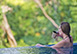 Castle in the Sky Vacation Rental Manuel Antonio, Costa Rica