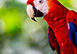 Castle in the Sky Vacation Rental Manuel Antonio, Costa Rica