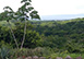 Costa Rica Vacation Villa - Emerald Woods