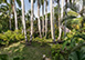 Casa Amore Mexico Vacation Villa - Ranchos, Punta Mita