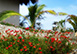 Mexico Vacation Villa - Puerto Escondido