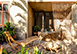 Casa Koko Mexico Vacation Villa - Punta Mita, Riviera Maya