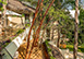 Mexico Vacation Rental