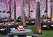 Rancho Retreat Punta Mita Mexico