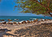 Villa Amapas Estate Mexico Vacation Villa -  Jalisco, Puerto Vallarta