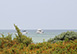 Villa Camaleon Mexico Vacation Villa - Merida
