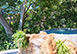 Villa Divina Mexico Vacation Villa - Puerto Vallarta