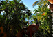 Villa Estrella Mexico Vacation Villa - Puerto Vallarta
