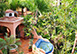 Villa Estrella Mexico Vacation Villa - Puerto Vallarta