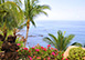 Villa Estrella Mexico Vacation Villa - Puerto Vallarta