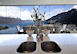 Cliffside Stunner Holiday Rental Queenstown Hill New Zealand