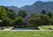 Bishopscourt Luxury South Africa Vacation Villa - Cape Town
