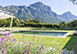 Kirstenbosch Luxury South Africa Vacation Villa - Cape Town