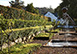 Madiba Villa Constantia Valley, Cape Town