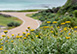 Romansbaai Villa South Africa Vacation Villa - Cape Town
